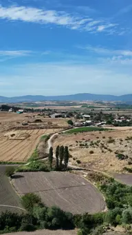 Küçük resim 4