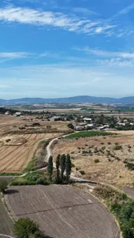 Küçük resim 5