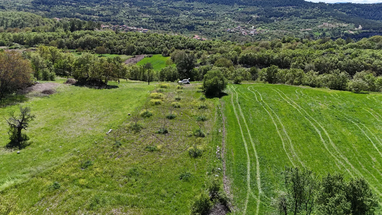 Bursa Keles Başak Mahallesi 2000m2 Cevizlik