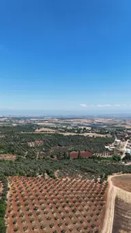 Küçük resim 7