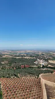 Küçük resim 5