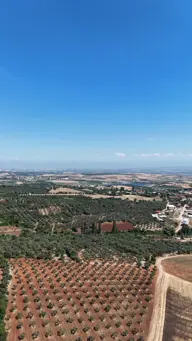 Küçük resim 4